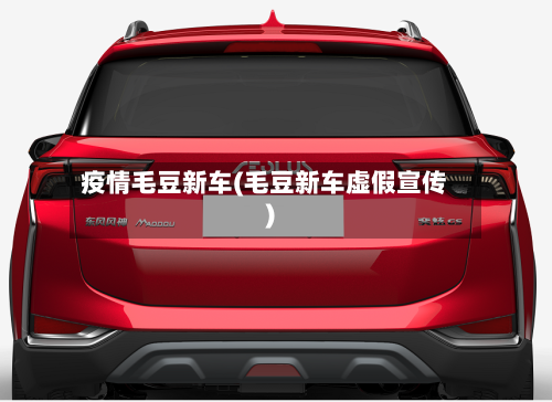 疫情毛豆新车(毛豆新车虚假宣传)-第2张图片