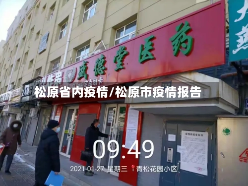 松原省内疫情/松原市疫情报告