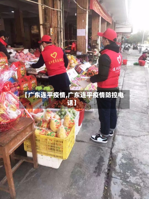【广东连平疫情,广东连平疫情防控电话】-第2张图片