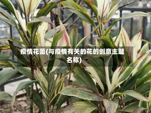 疫情花蕾(与疫情有关的花的创意主题名称)-第2张图片