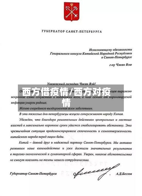 西方借疫情/西方对疫情-第3张图片