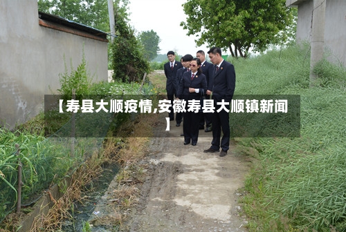 【寿县大顺疫情,安徽寿县大顺镇新闻】