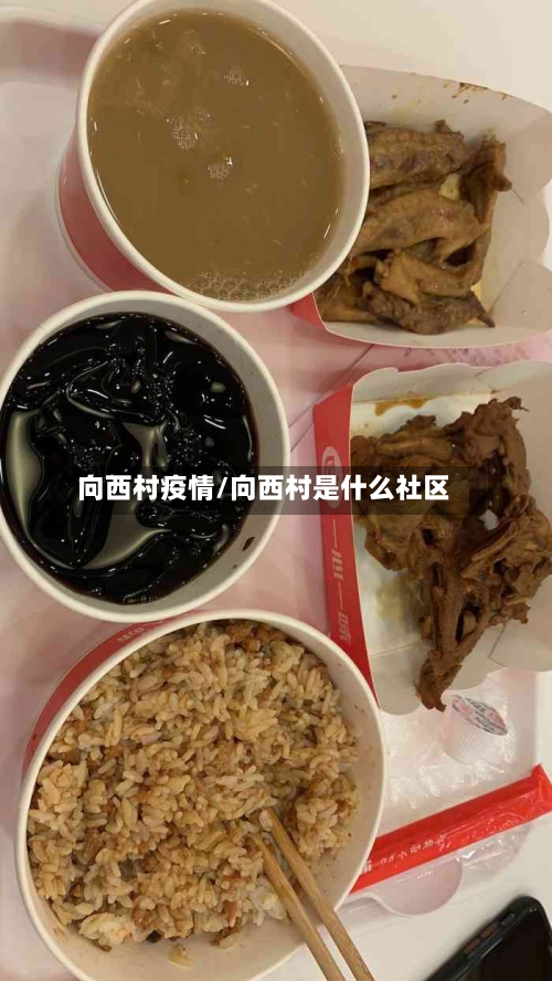 向西村疫情/向西村是什么社区