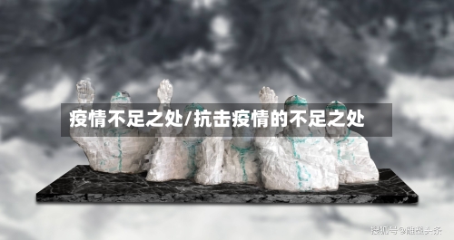 疫情不足之处/抗击疫情的不足之处