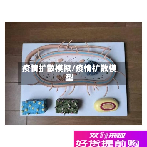疫情扩散模拟/疫情扩散模型