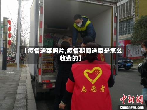 【疫情送菜照片,疫情期间送菜是怎么收费的】-第3张图片