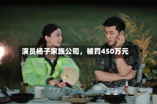 演员杨子家族公司	，被罚450万元-第3张图片