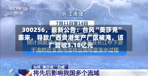 300256	，最新公告：台风“美莎克	”袭来，导致广西贵港生产厂区被淹，该厂营收3.18亿元-第2张图片