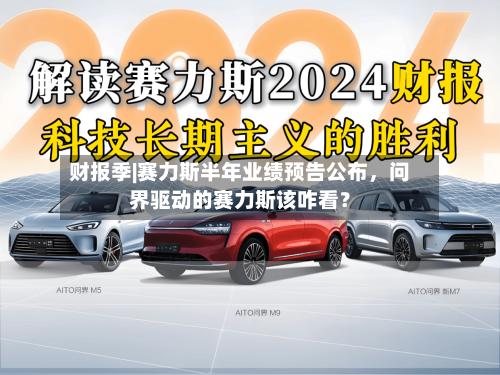 财报季|赛力斯半年业绩预告公布	，问界驱动的赛力斯该咋看？-第3张图片