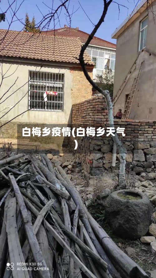 白梅乡疫情(白梅乡天气)