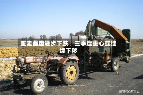 玉米费用
:二季度逐步下跌 三季度重心或继续下移-第2张图片