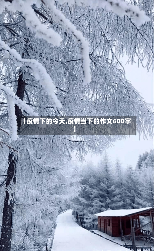 【疫情下的今天,疫情当下的作文600字】
