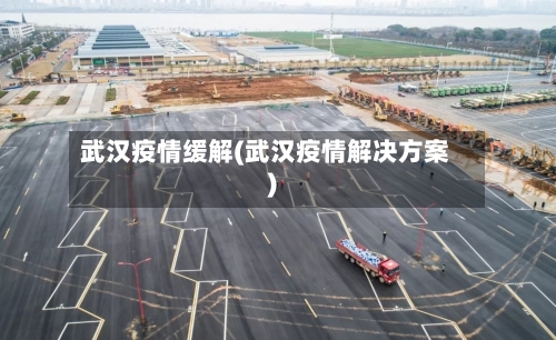 武汉疫情缓解(武汉疫情解决方案)