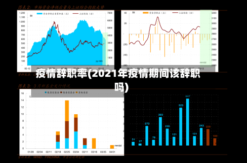 疫情辞职率(2021年疫情期间该辞职吗)