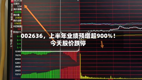 002636，上半年业绩预增超900%！今天股价跌停
