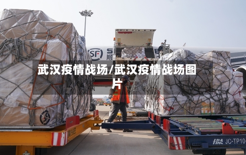 武汉疫情战场/武汉疫情战场图片