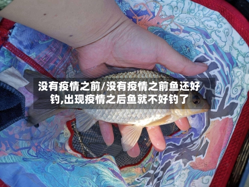 没有疫情之前/没有疫情之前鱼还好钓,出现疫情之后鱼就不好钓了