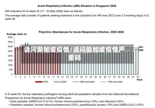 请问新加坡疫情/请问新加坡疫情严重吗