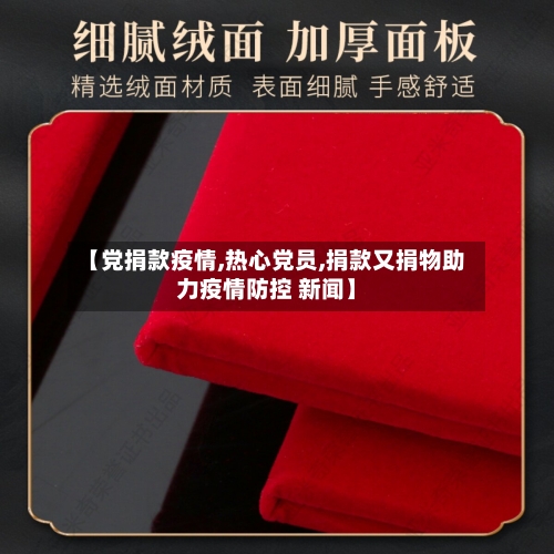 【党捐款疫情,热心党员,捐款又捐物助力疫情防控 新闻】-第2张图片