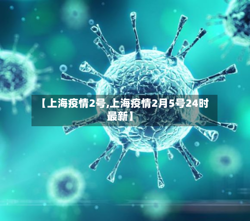 【上海疫情2号,上海疫情2月5号24时最新】-第2张图片