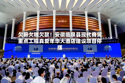 欠薪欠税欠款!安徽临泉县现代商贸重点工程真爱年华大酒店建设项目停摆-第2张图片
