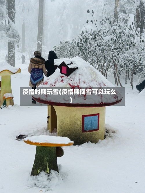 疫情时期玩雪(疫情期间雪可以玩么)