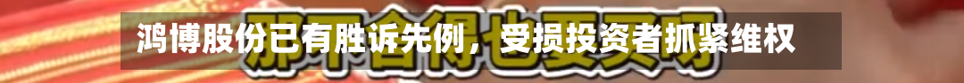 鸿博股份已有胜诉先例，受损投资者抓紧维权-第3张图片
