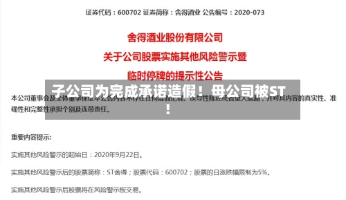 子公司为完成承诺造假！母公司被ST！