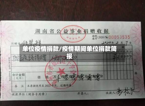 单位疫情捐款/疫情期间单位捐款简报