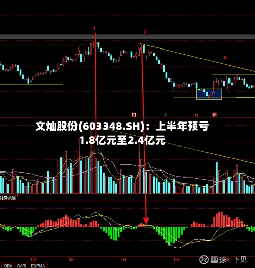 文灿股份(603348.SH)：上半年预亏1.8亿元至2.4亿元-第2张图片