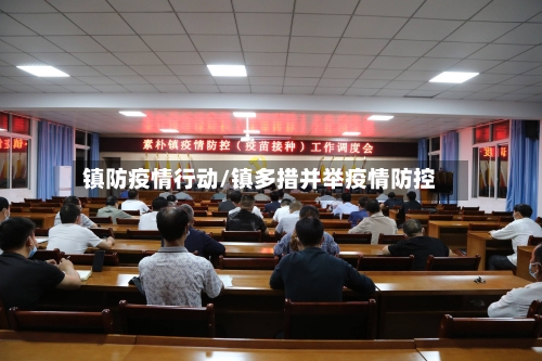 镇防疫情行动/镇多措并举疫情防控