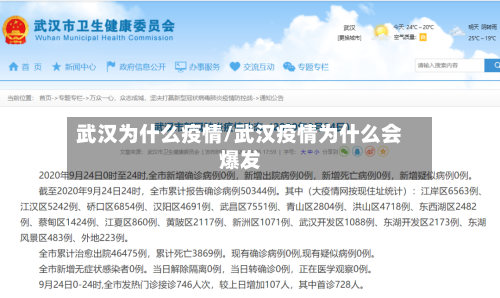 武汉为什么疫情/武汉疫情为什么会爆发