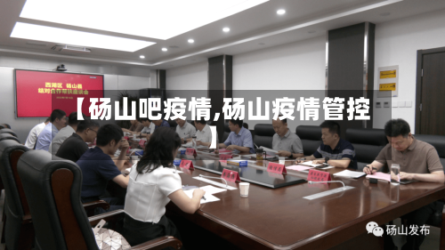 【砀山吧疫情,砀山疫情管控】