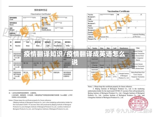 疫情翻译知识/疫情翻译成英语怎么说-第2张图片