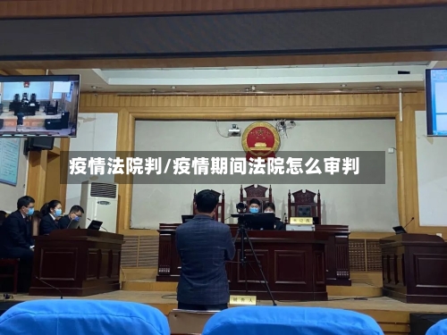 疫情法院判/疫情期间法院怎么审判