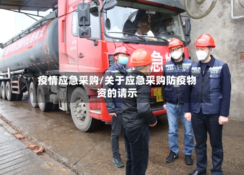 疫情应急采购/关于应急采购防疫物资的请示-第2张图片
