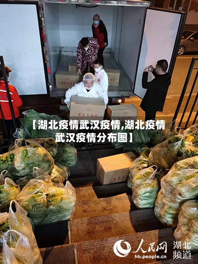 【湖北疫情武汉疫情,湖北疫情武汉疫情分布图】