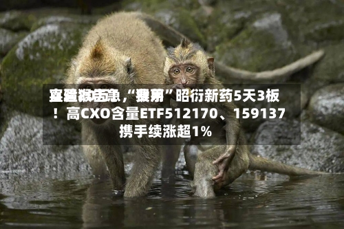 实验猴告急，费用直逼20万！“猴茅	”昭衍新药5天3板！高CXO含量ETF512170、159137携手续涨超1%-第3张图片