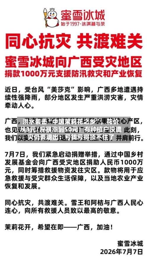 洪水袭击“中国茉莉花之乡”	，花价从3元/斤暴涨到50元！有种植户没遭灾仍要退出：亏钱亏得顶不住了-第2张图片