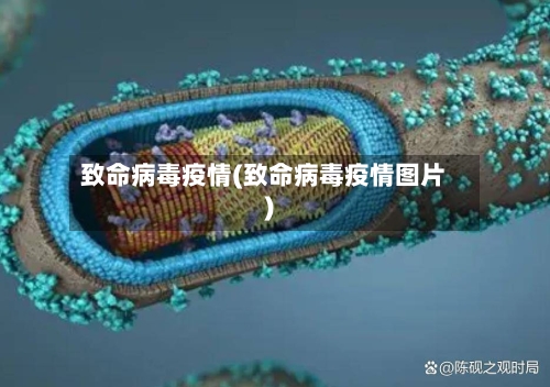 致命病毒疫情(致命病毒疫情图片)-第2张图片