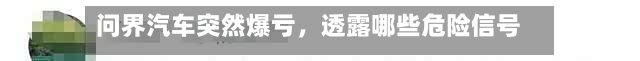 问界汽车突然爆亏，透露哪些危险信号？-第2张图片