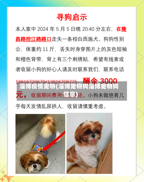 淄博疫情宠物(淄博宠物狗淄博宠物狗信息)