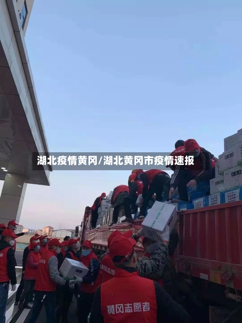 湖北疫情黄冈/湖北黄冈市疫情速报-第2张图片