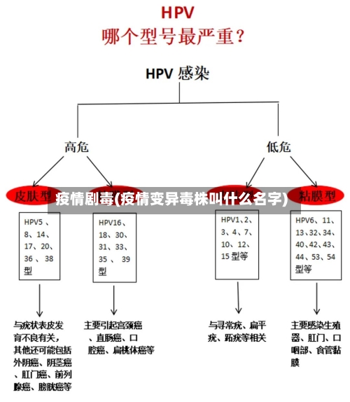 疫情剧毒(疫情变异毒株叫什么名字)-第2张图片