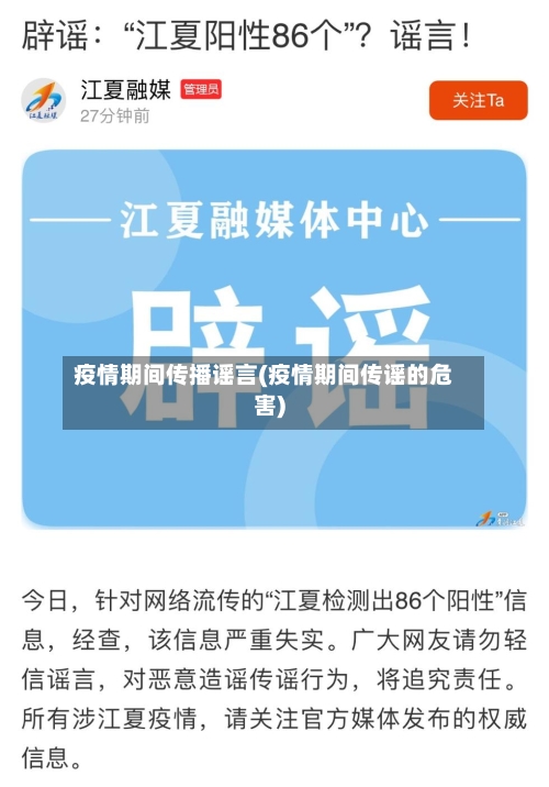 疫情期间传播谣言(疫情期间传谣的危害)