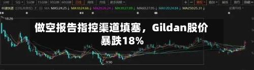 做空报告指控渠道填塞，Gildan股价暴跌18%-第2张图片