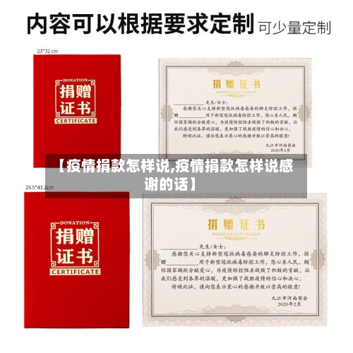 【疫情捐款怎样说,疫情捐款怎样说感谢的话】-第2张图片