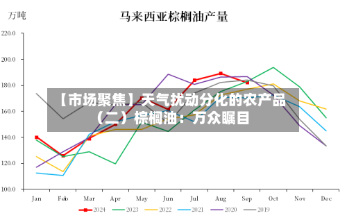 【市场聚焦】天气扰动分化的农产品（二）棕榈油：万众瞩目-第2张图片