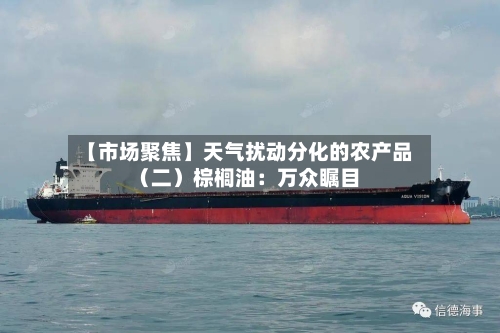 【市场聚焦】天气扰动分化的农产品（二）棕榈油：万众瞩目-第3张图片