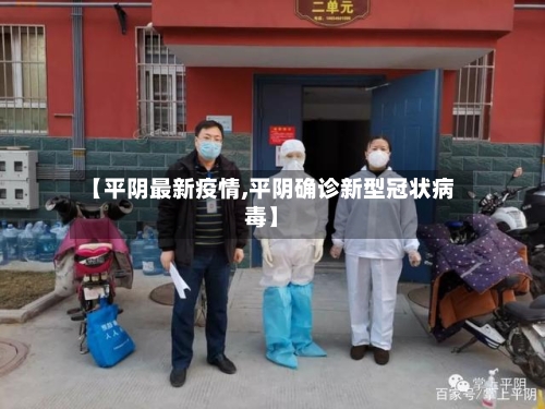 【平阴最新疫情,平阴确诊新型冠状病毒】-第2张图片